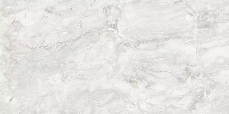 Rizi Silver Carving 60x120