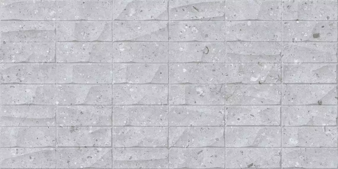 Rockberry Panch Gris 30x60
