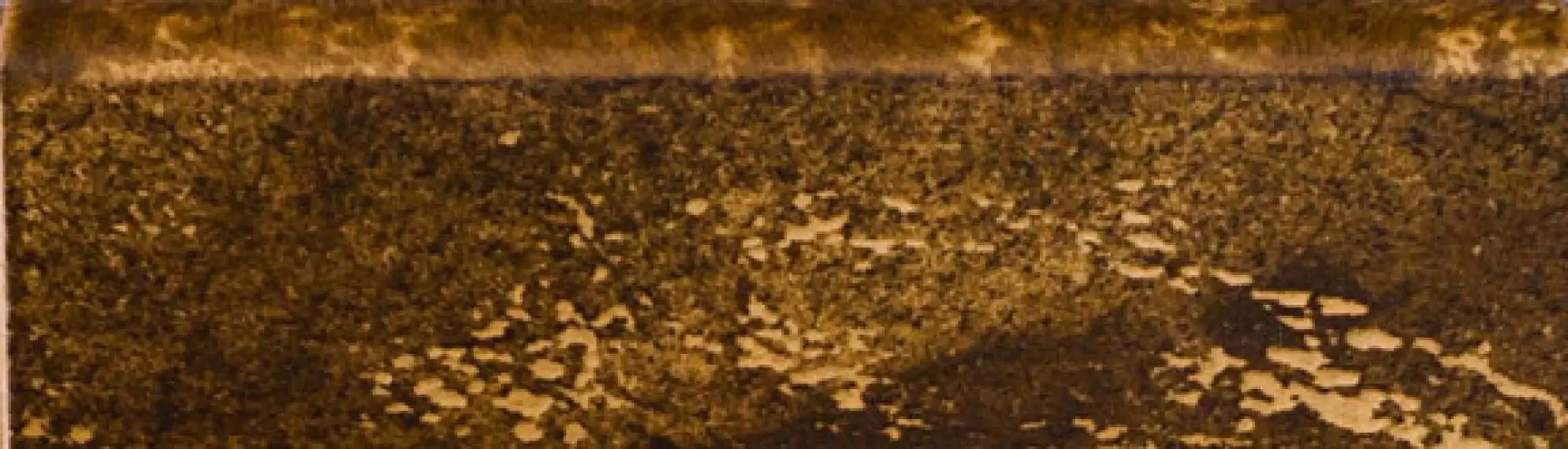 Rodapie Castano 8*25