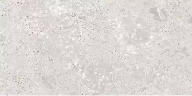 Roma Gris Carving Satin 60x120