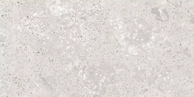 Roma Gris Carving Satin 60x120
