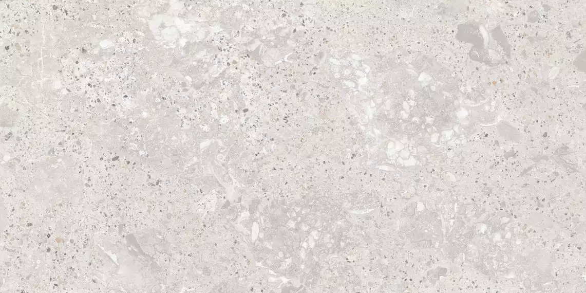 Roma Gris Carving Satin 60x120