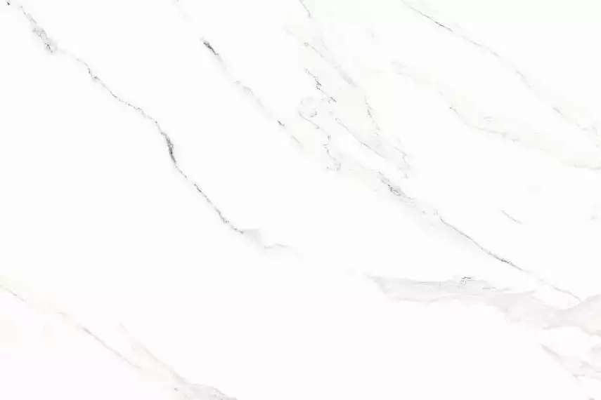 Roman Elite Glossy 60x120