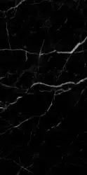 Royal Black 60x120