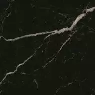 Royal Black 60x60
