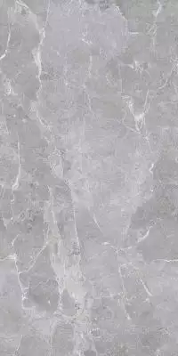 Rs 161 Gris Endless Velvet 600x1200