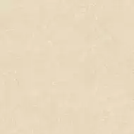 Runa Beige Matt Rectified 59.4x59.4