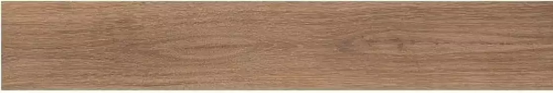 SABINA AMBER 20x120