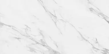 SALERNO Grigio Polished 60x120