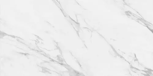 SALERNO Grigio Polished 60x120