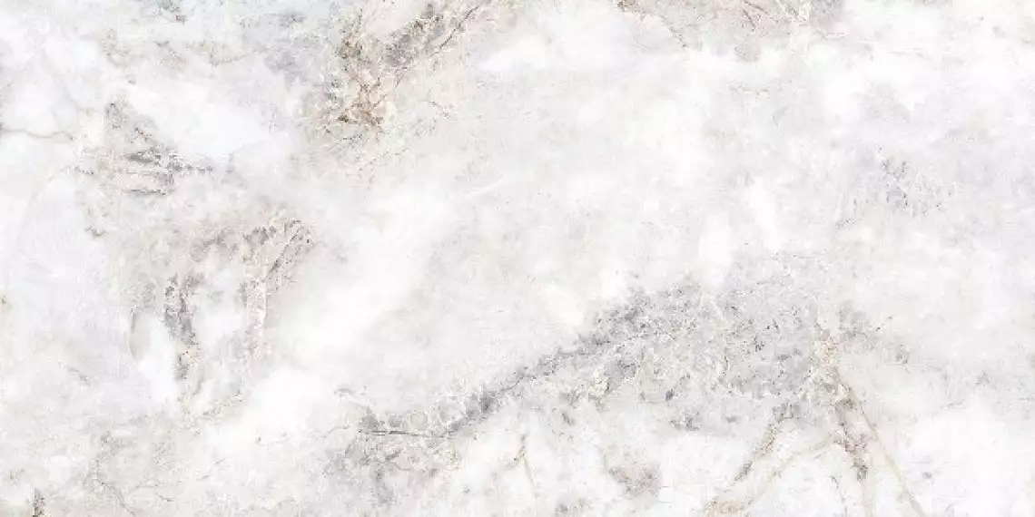 SAVA Polished 60x120