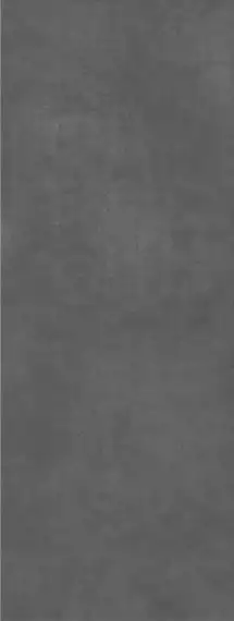 SG070500R Керамогранит Beton Antracite 119.5x320х11