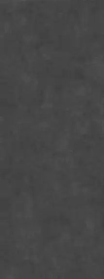 SG070600R6 Керамогранит Beton Nero 119.5x320х6