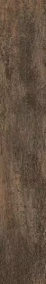 SG32 Honey NN 03 NAT 20x120
