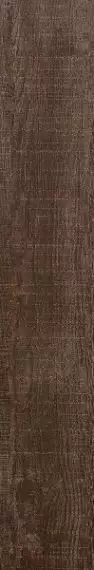 SG33 Burnet NN 04 20x120
