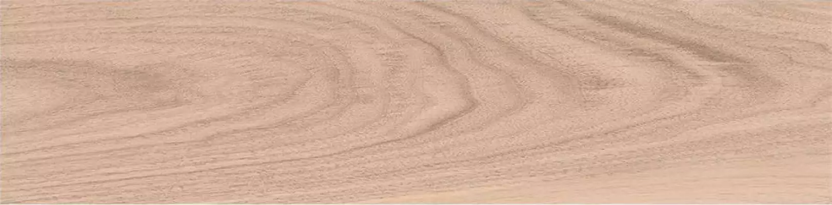 SG708490R Albero вишня 20х80