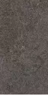 SGW62W13100A Плитка Flamel Dark 31х61