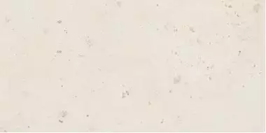 SHELL6 12 60x120