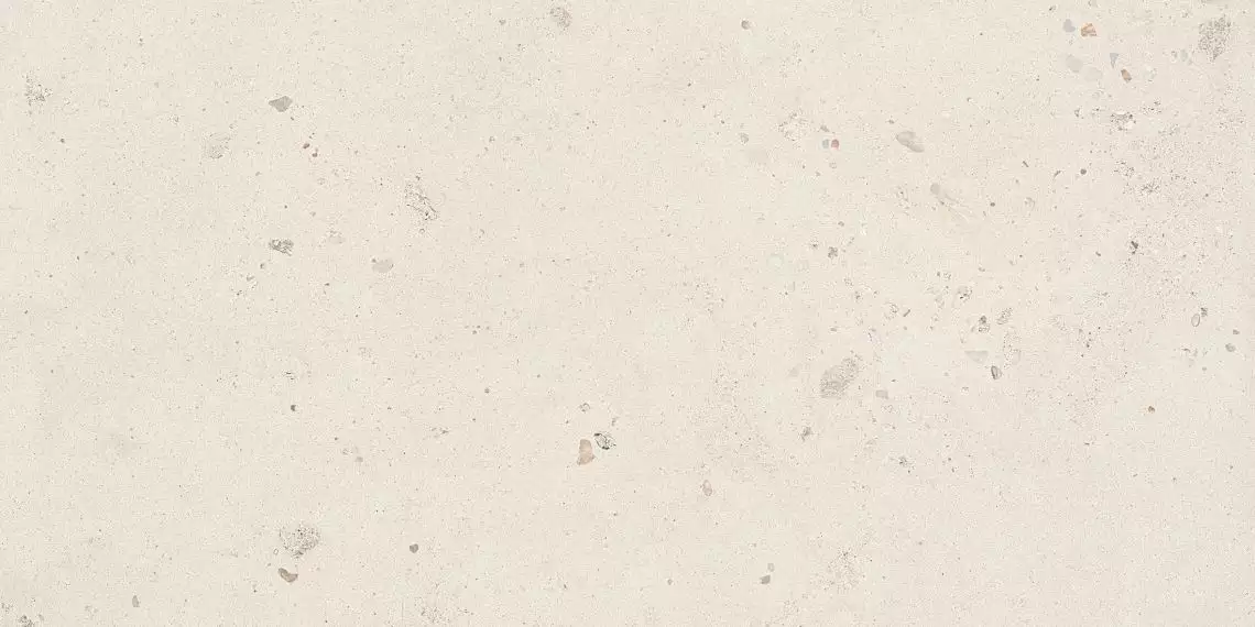 SHELL6 12 60x120