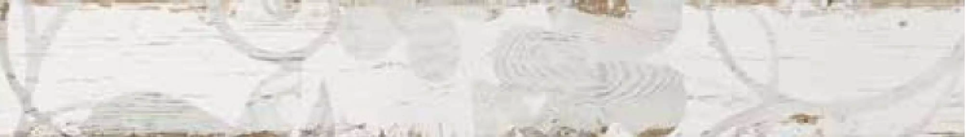 SILO WOOD DECORO BIANCO 10х70