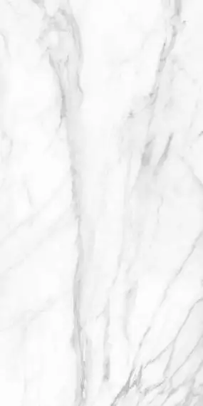 SM01 Supreme Platinum Неполированный Рект. 60x120x9