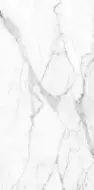 SM01 Supreme Platinum Полированный 60x120x9