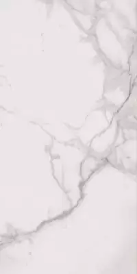 SP6110L Керамогранит SUPREME ROYAL STATUARIO LUX 60x120