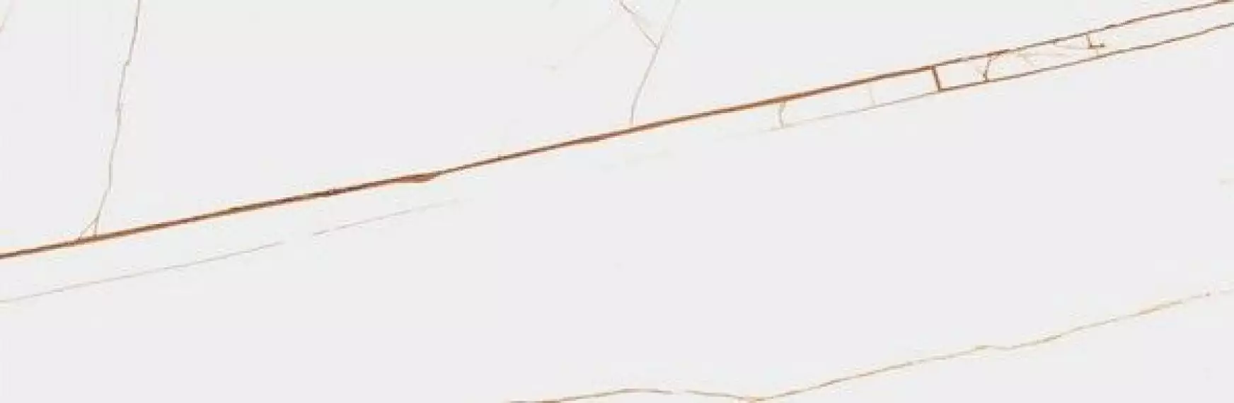 SPIDER BROWN Polished 240x80