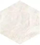 SP/AMR/d01-cut/450x520