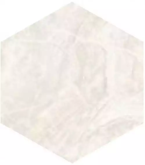 SP/AMR/d01-cut/450x520