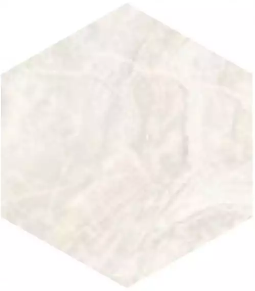 SP/MR/d01-cut/450x520