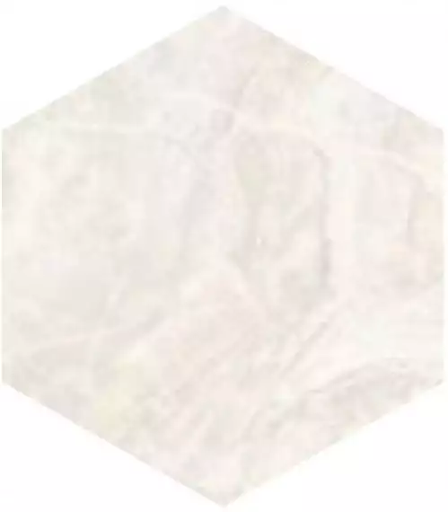 SP/PR/d01-cut/450x520