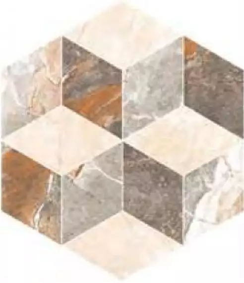 SP/d03-cut/450x520