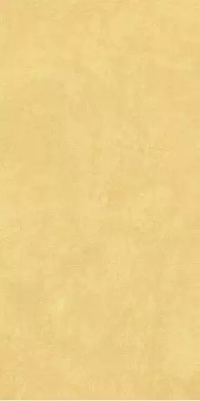 SR04 Spectrum Yellow Неполированный Рект. 60x120х9