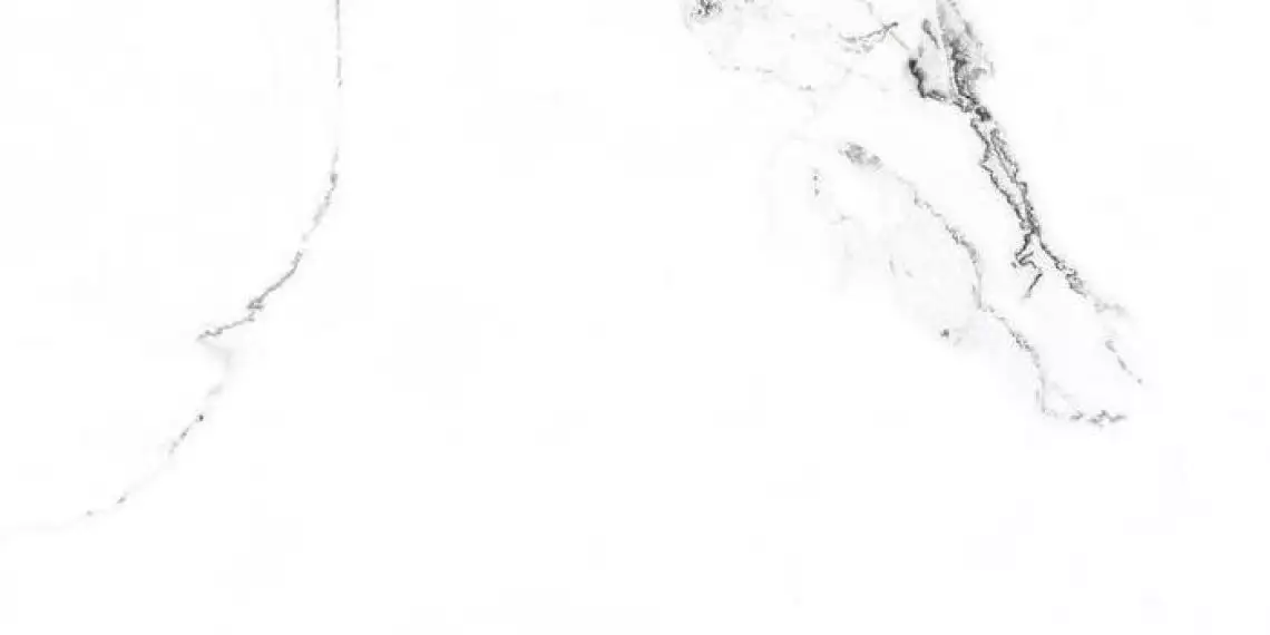 SR204 Videl Bianco sugar 600x1200x9