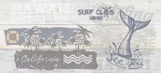 SRG451D Surf Многоцветный 44*20