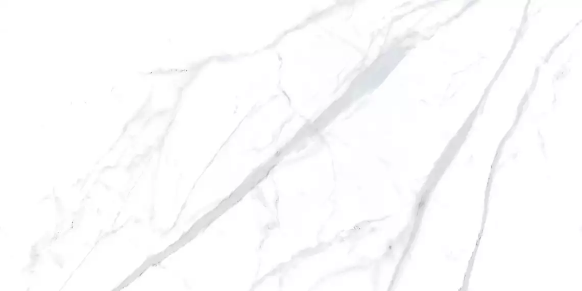 ST016012N Керамогранит Statuario White 60х120