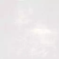 STARKPOL NACAR 75*75