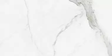 STATUARIO MATE rect. porcelanico 60x120