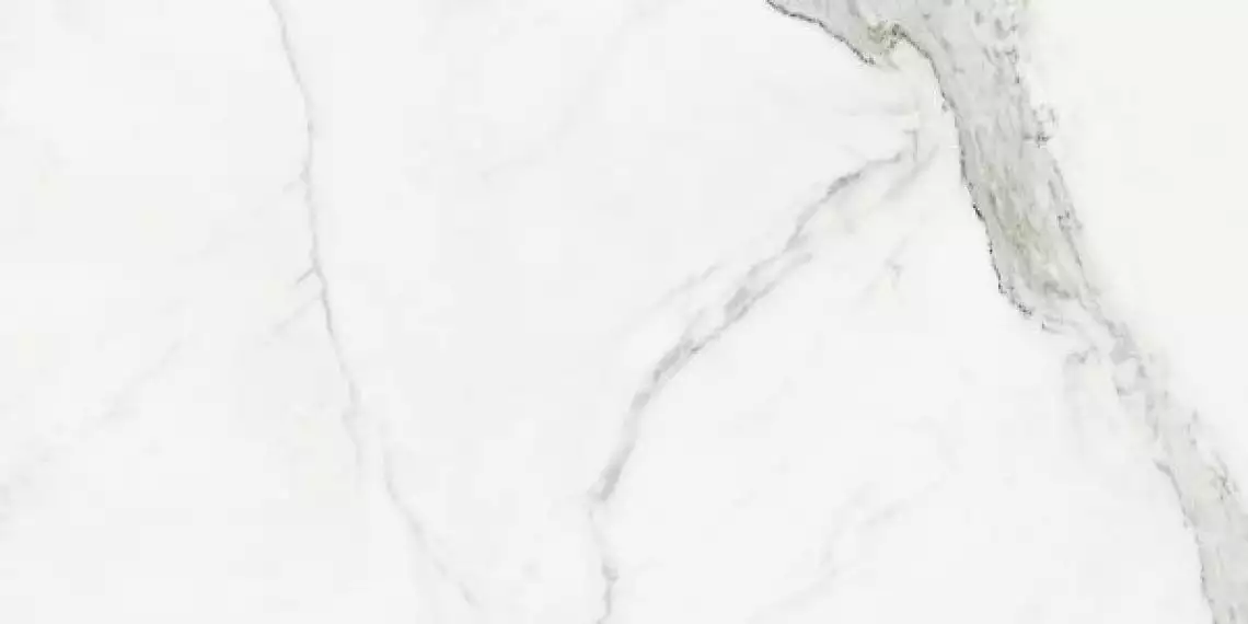 STATUARIO MATE rect. porcelanico 60x120