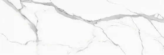 STATUARIO VENATO Polished 240x80