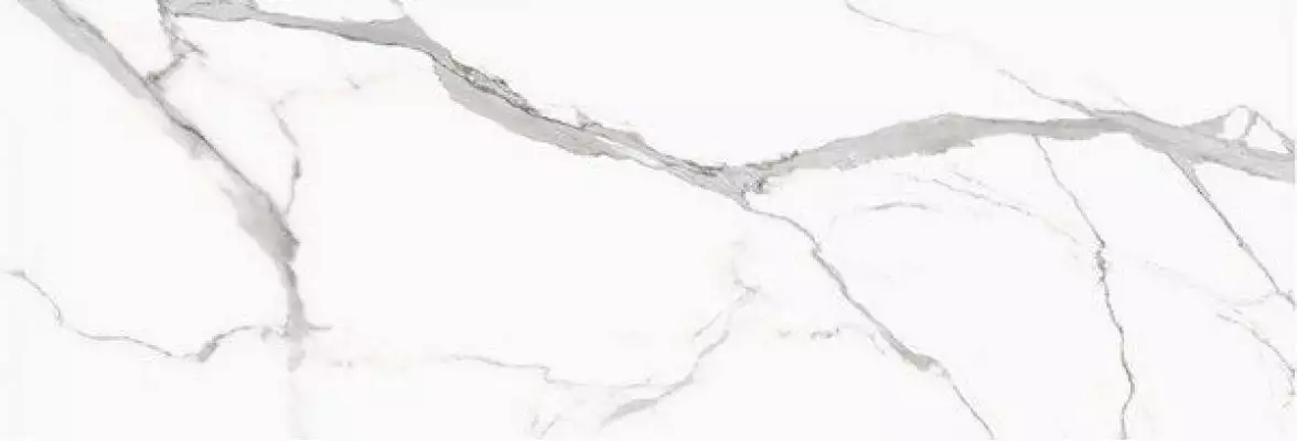 STATUARIO VENATO Polished 240x80