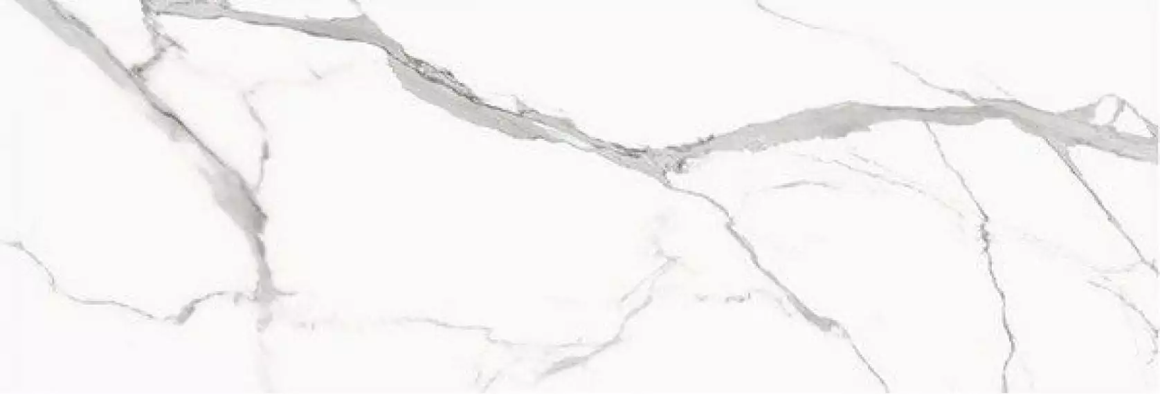 STATUARIO VENATO Polished 240x80