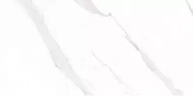 STATUARY Compacglass Blanco 60x120