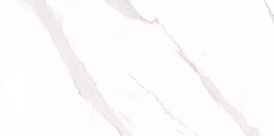 STATUARY Compacglass Blanco 60x120