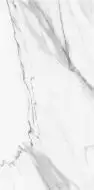 STSK STATUARIO SILK 120x278
