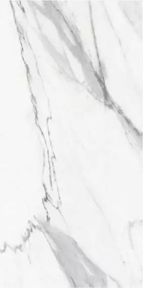 STSK STATUARIO SILK 120x278
