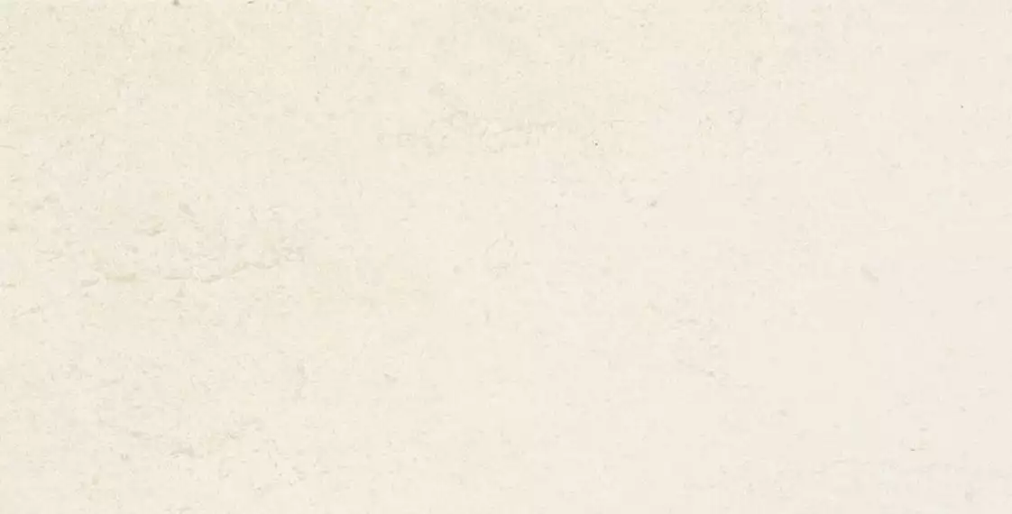 STUDIO IVORY 25*50