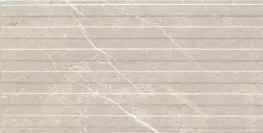 STUDIO NATURAL RELIEVE 25*50