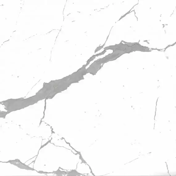 ST 0005 Керамогранит STATUARIO 60x60